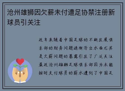 沧州雄狮因欠薪未付遭足协禁注册新球员引关注